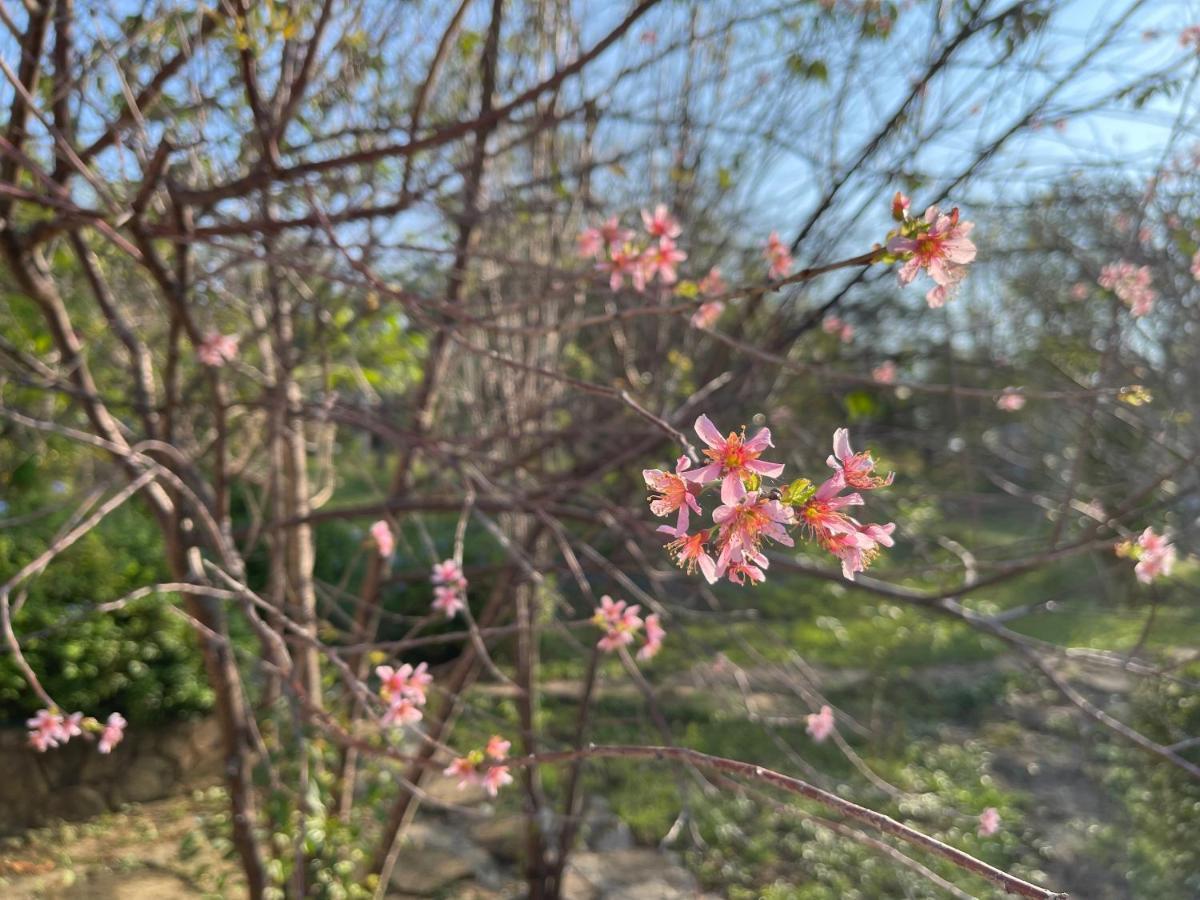 Cozycomo Nam Nao Ban Phu Hi Exteriör bild